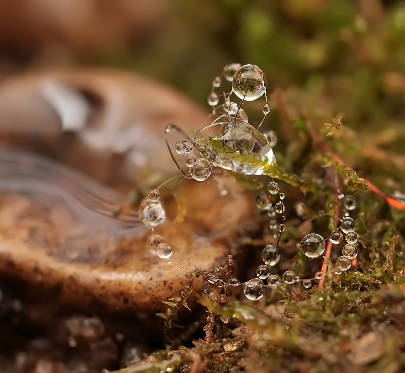 Annäherung an das Licht ...