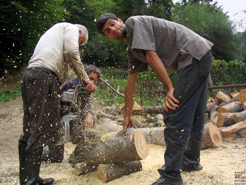 ... Wo Brennholz? ..