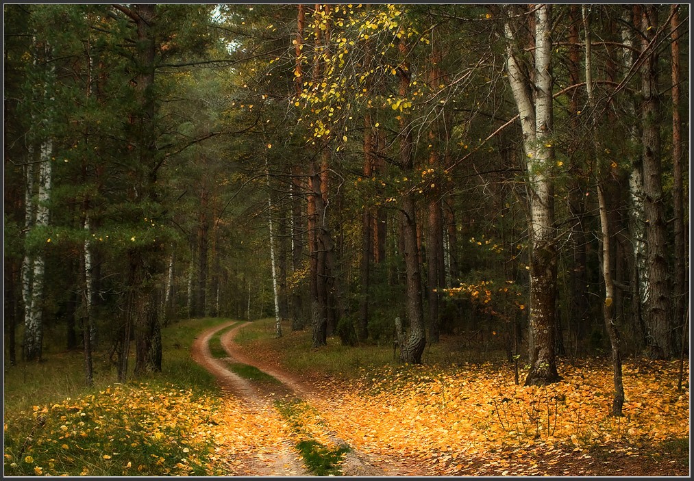 Ausgelassene Herbst Blatt ...