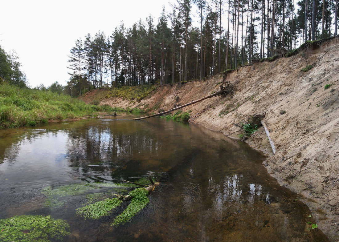 in einer ruhigen Fluss