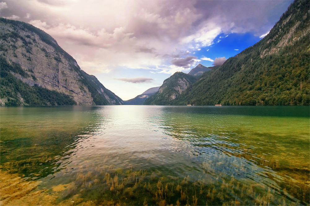 Unterwasser-Wald ... und ein bisschen blauer Himmel ...