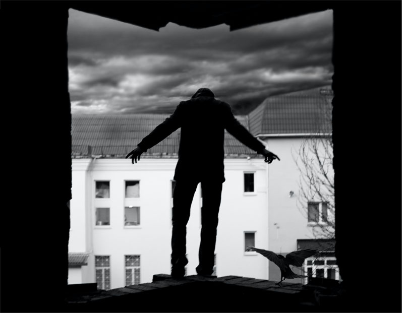 Fly Me to the bird il fallen ...