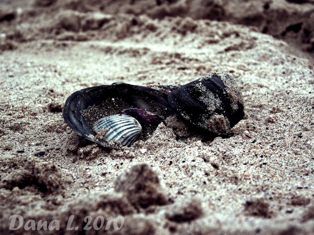 Erinnerung an das Meer.