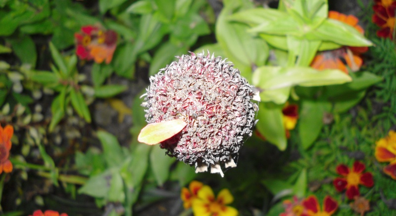 Offensichtliche unglaublich.