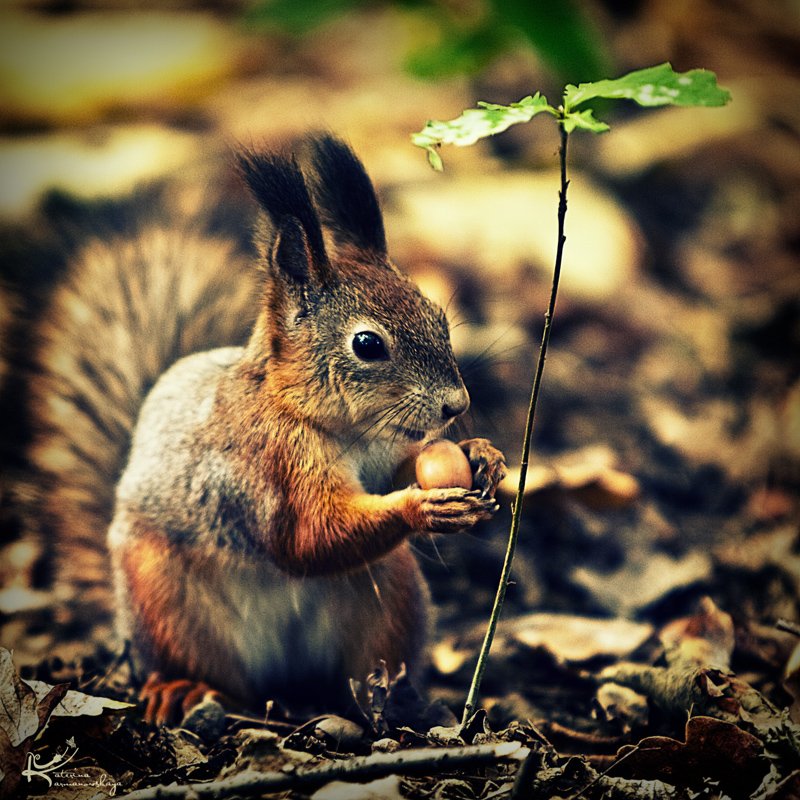 I'm sitting under the tree