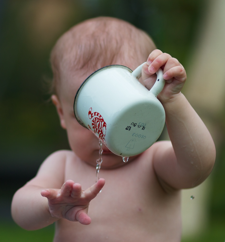 Das Wissen um die Welt