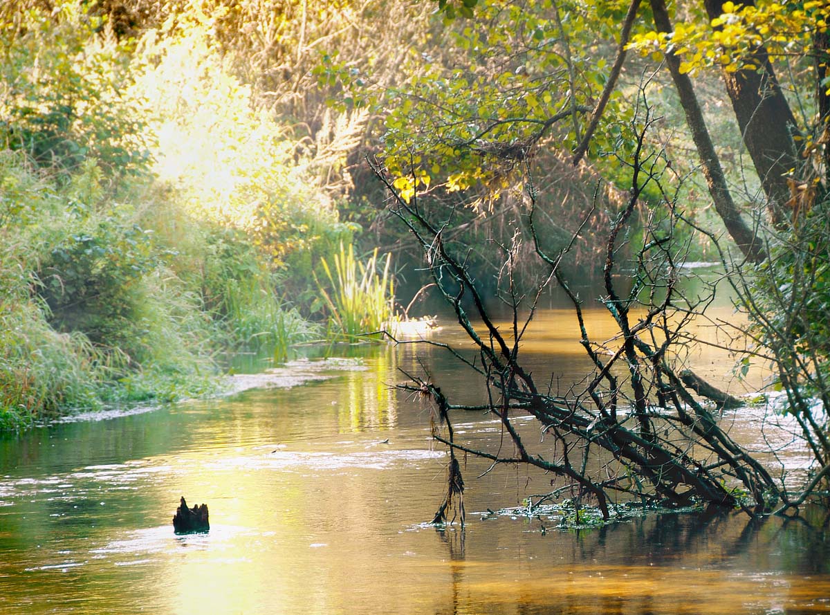 getrocknet im Wasser ...