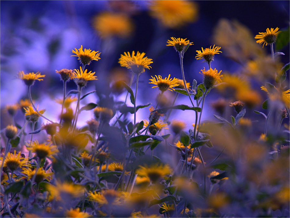 warmen Herbstabend ...