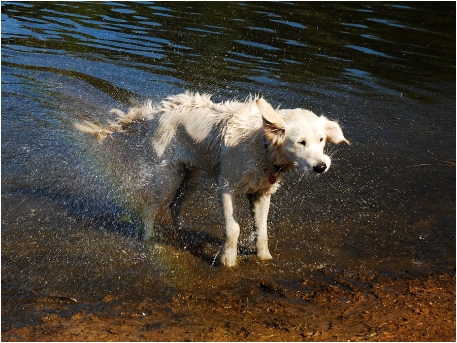 "Ich gebe dir einen Regenbogen!"