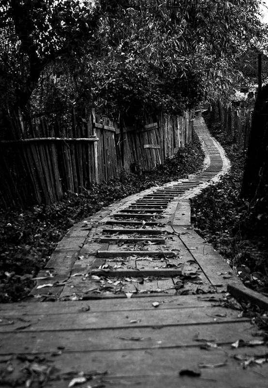 Auf dem Weg nach Hause