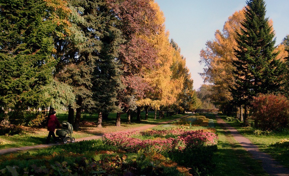 Herbst im Botanischen