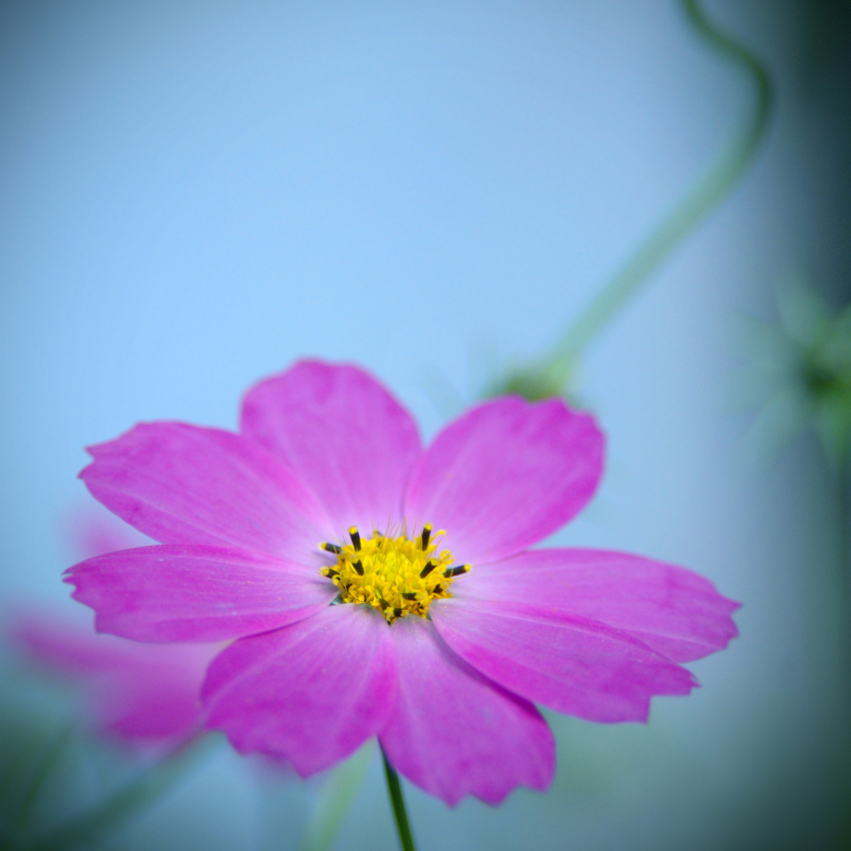 Er hielt zum ersten Mal ...