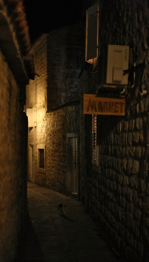 Altstadt № 8. Night