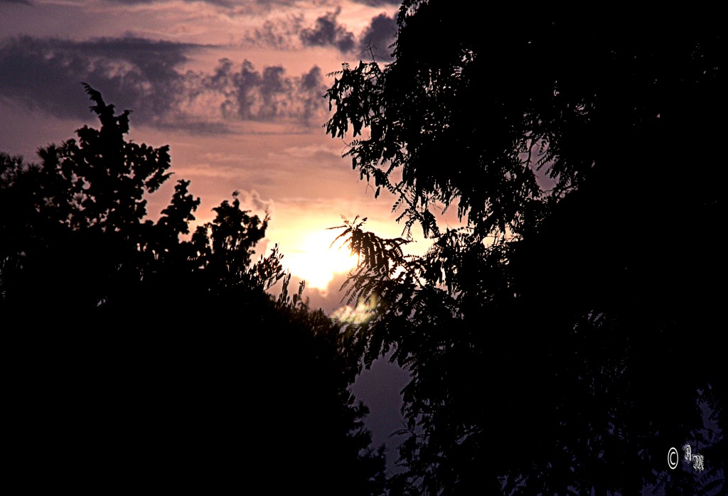 solnze na sklone dnia