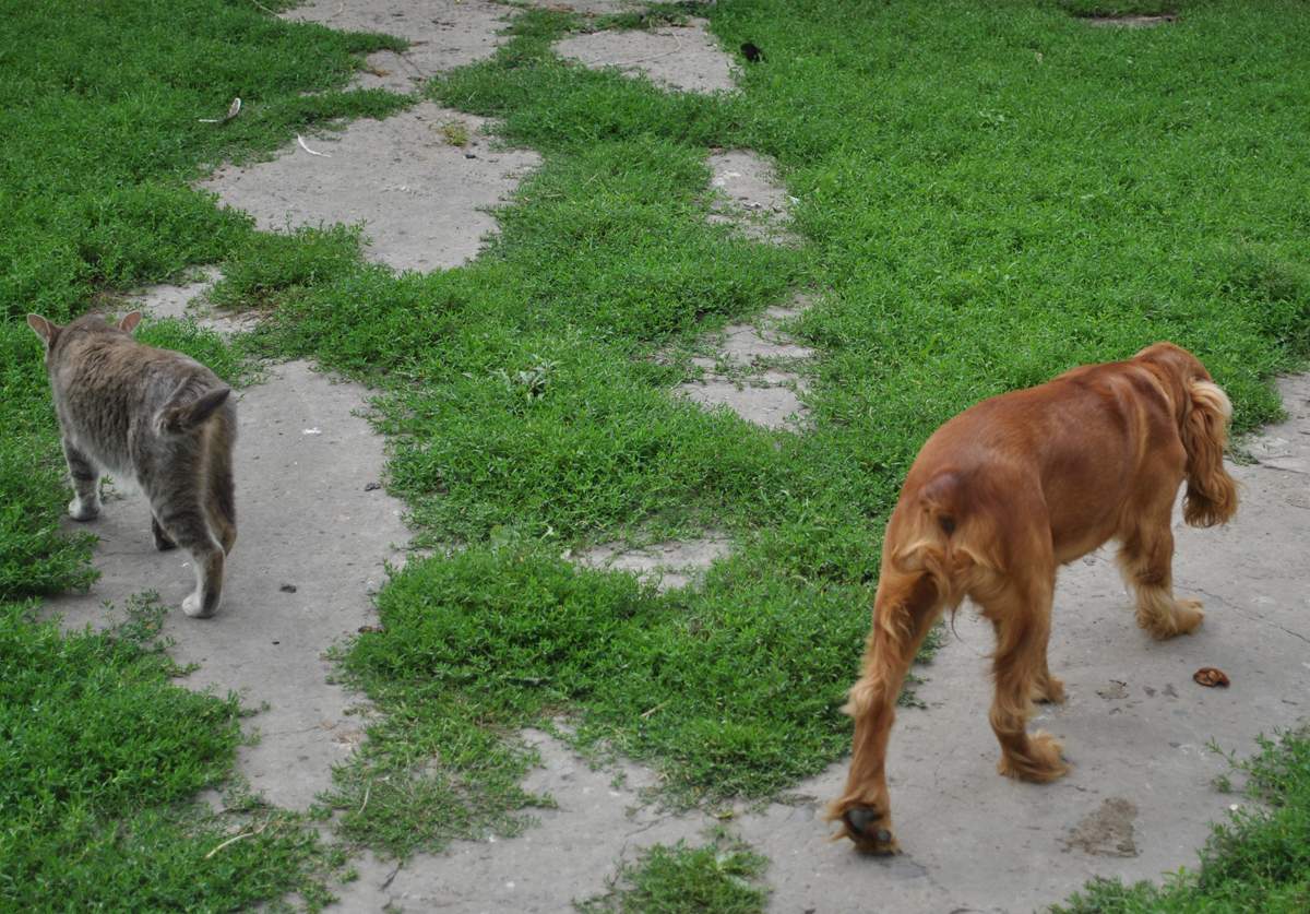 - Erste nicht hinter mir gehen - Nun, ich weiß nicht ydu!