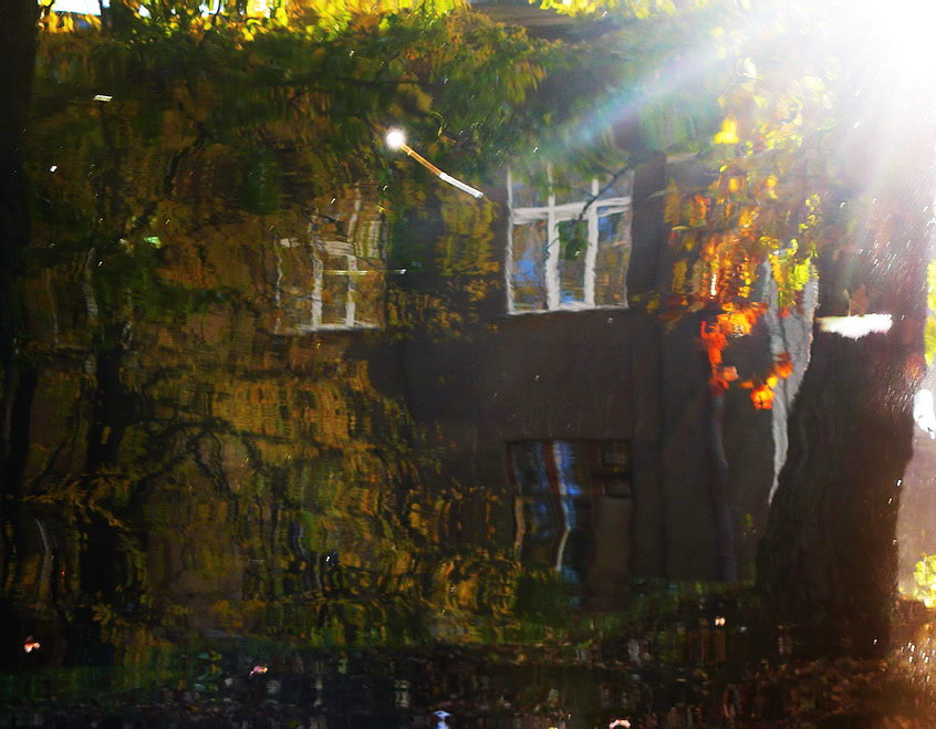 über die Magie des Lebens (Zauberstab)