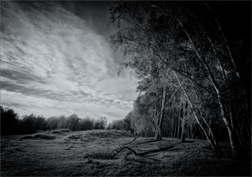 "Ich kann ohne dich nicht leben ..."