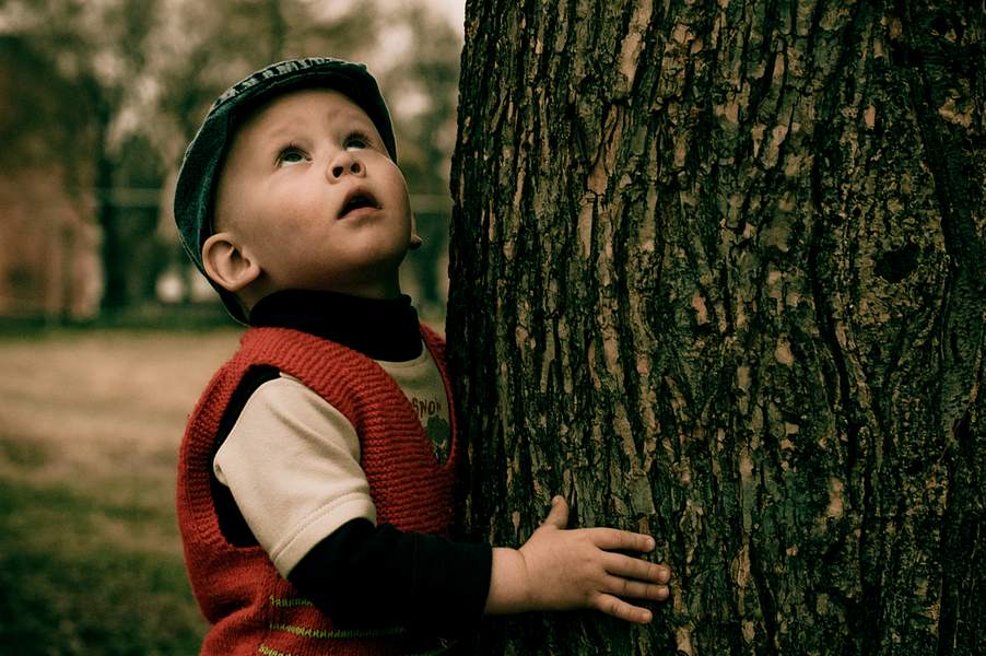 Wenn die Bäume waren hoch