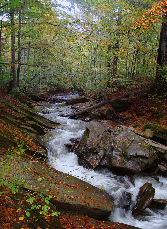 Herbst Motive Transkarpatien