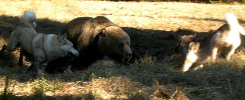 In der nicht gleich in die Schlacht ...