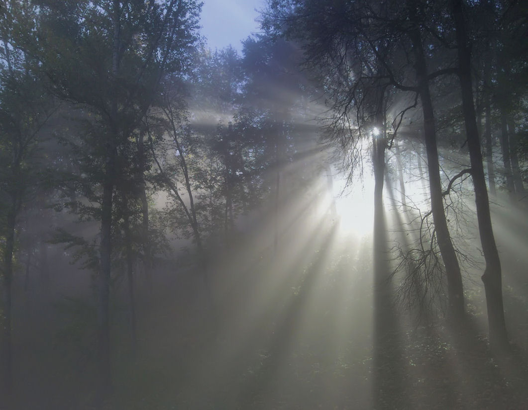 Morgen in den Garten Alesandrovskom ... 2