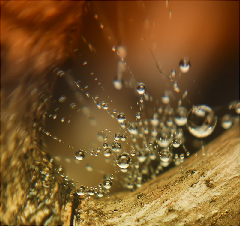 Und der Tag länger als ein Jahrhundert ...