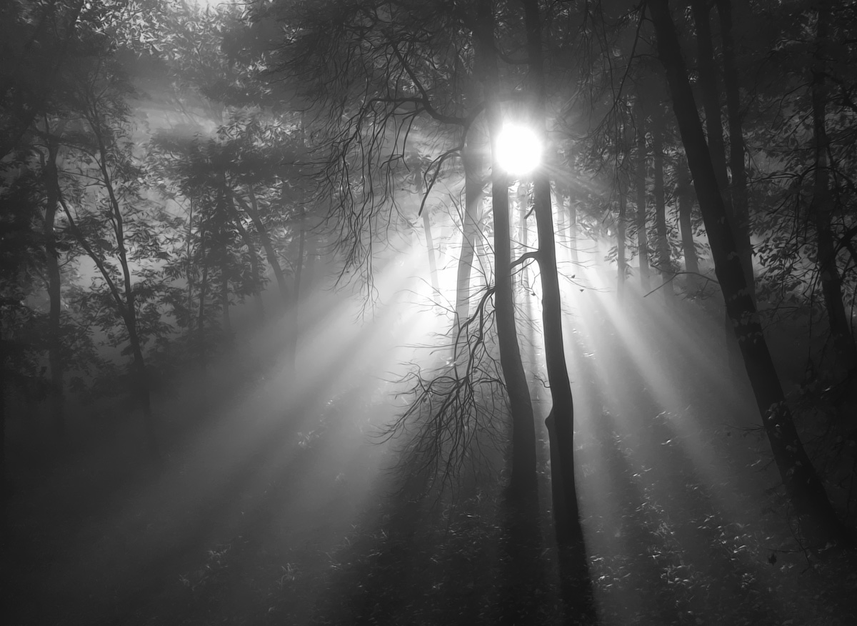 Morgen in den Garten Alesandrovskom ... 3