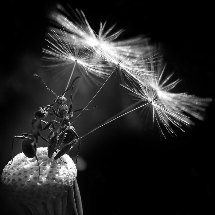 Talking about the Stars