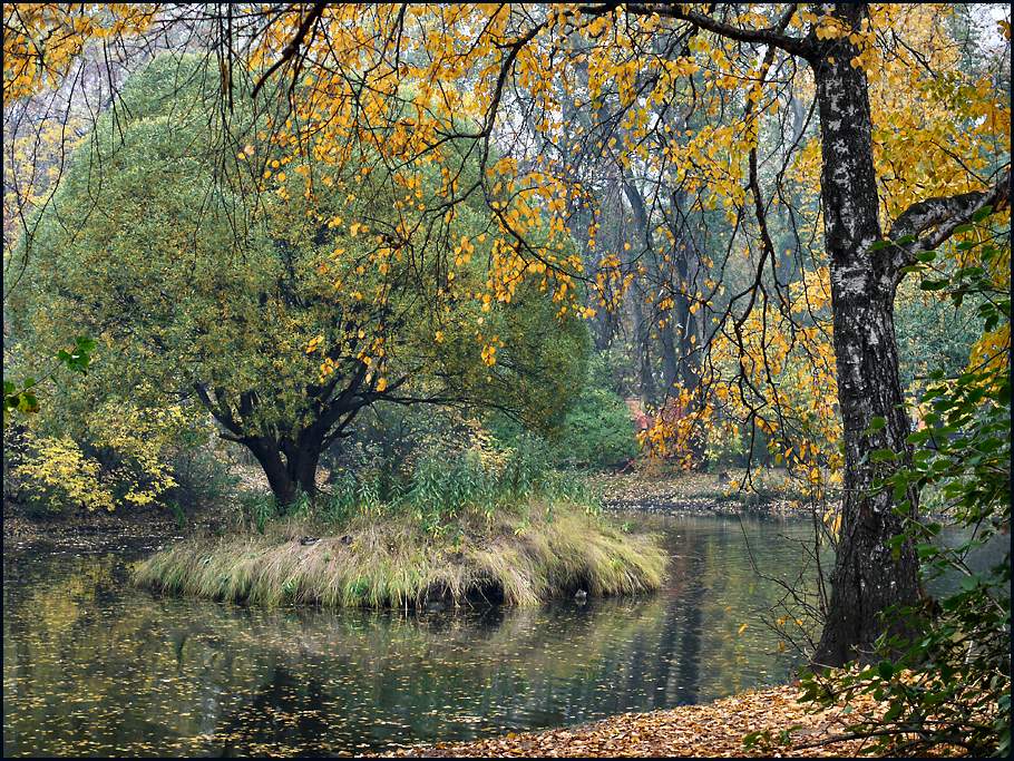 Herbst im Park