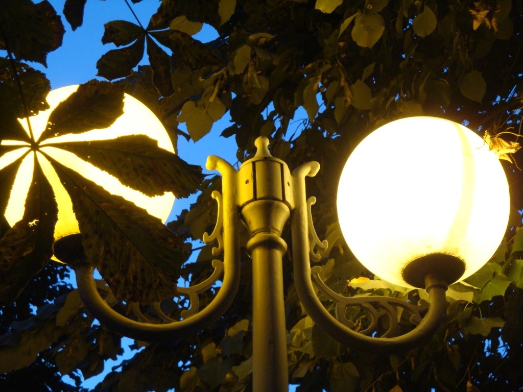 Laterne unter den Kastanien