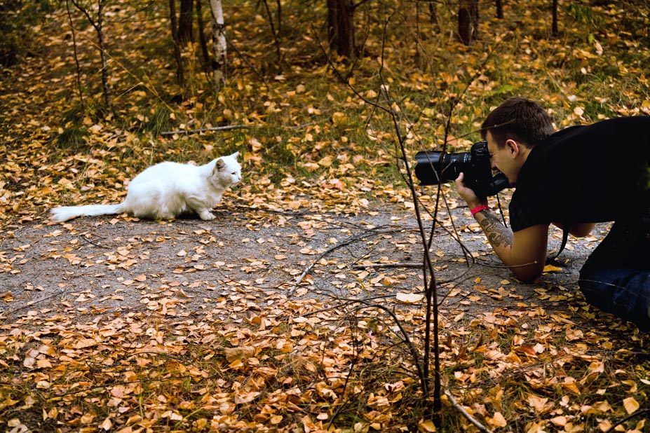 Kicks, Kitty, Kitty, sag mir - "Chi-i-and-out" oder "Sie nehmen ab, ziehe meine Fotografen № 2"