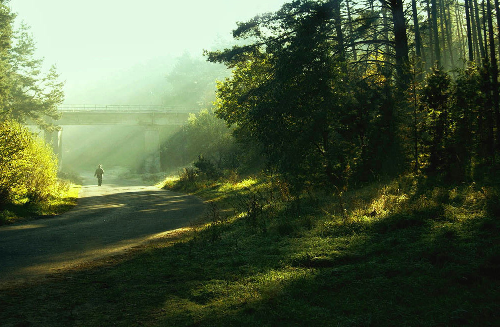 Ich überlasse es Ihnen ostaeshsya .. Zwei der Herbst