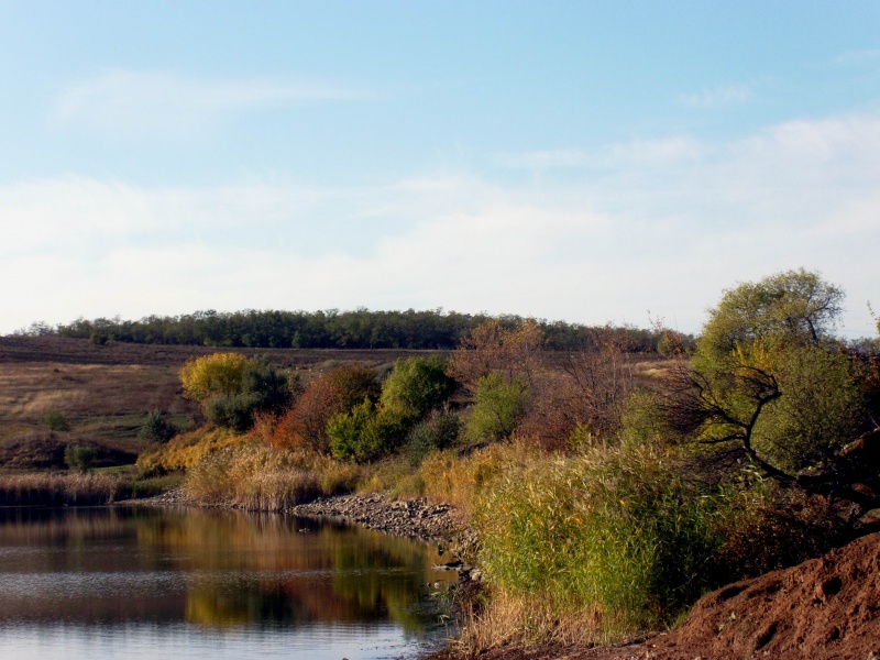 Im vergangenen Herbst.