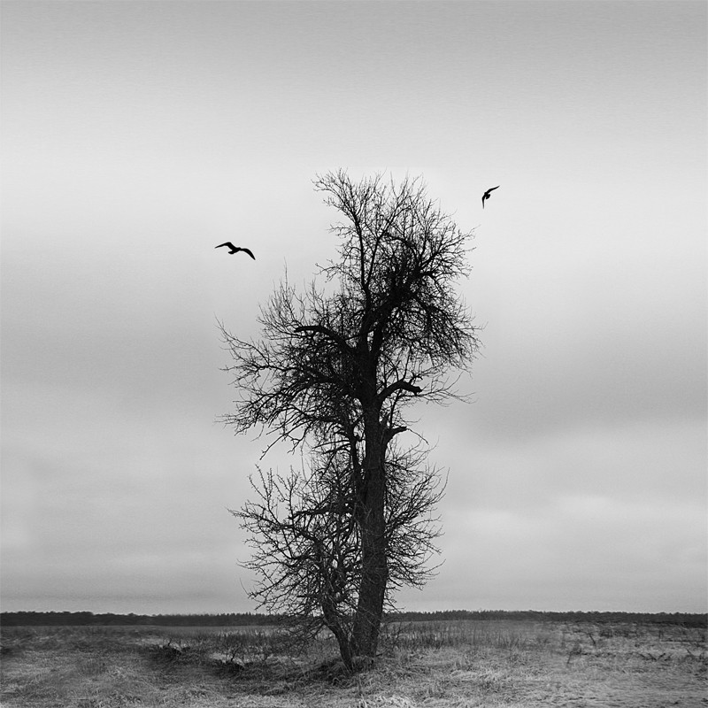 Wie viele Jahre leben Sie, das Dorf?