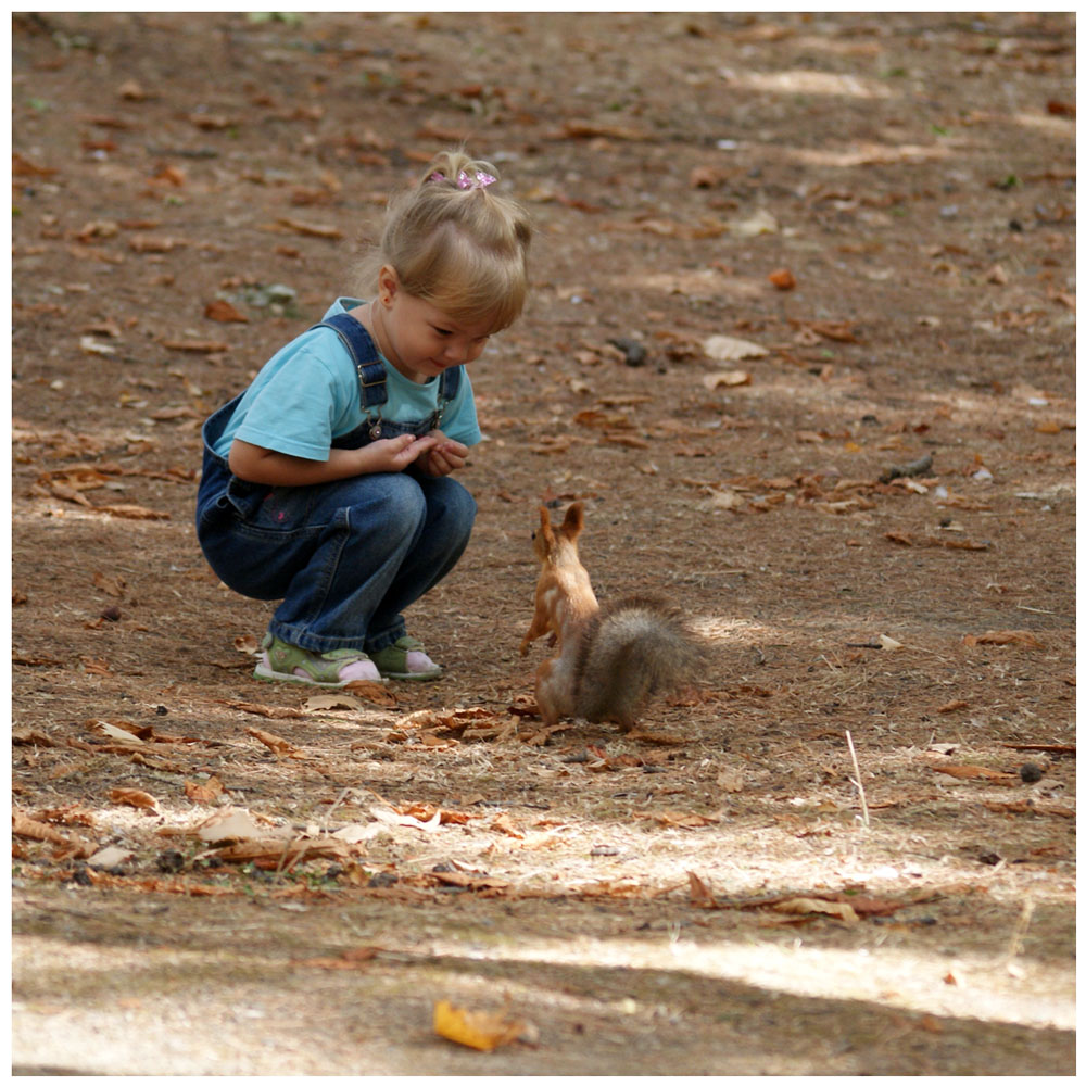 The girl and the squirrel