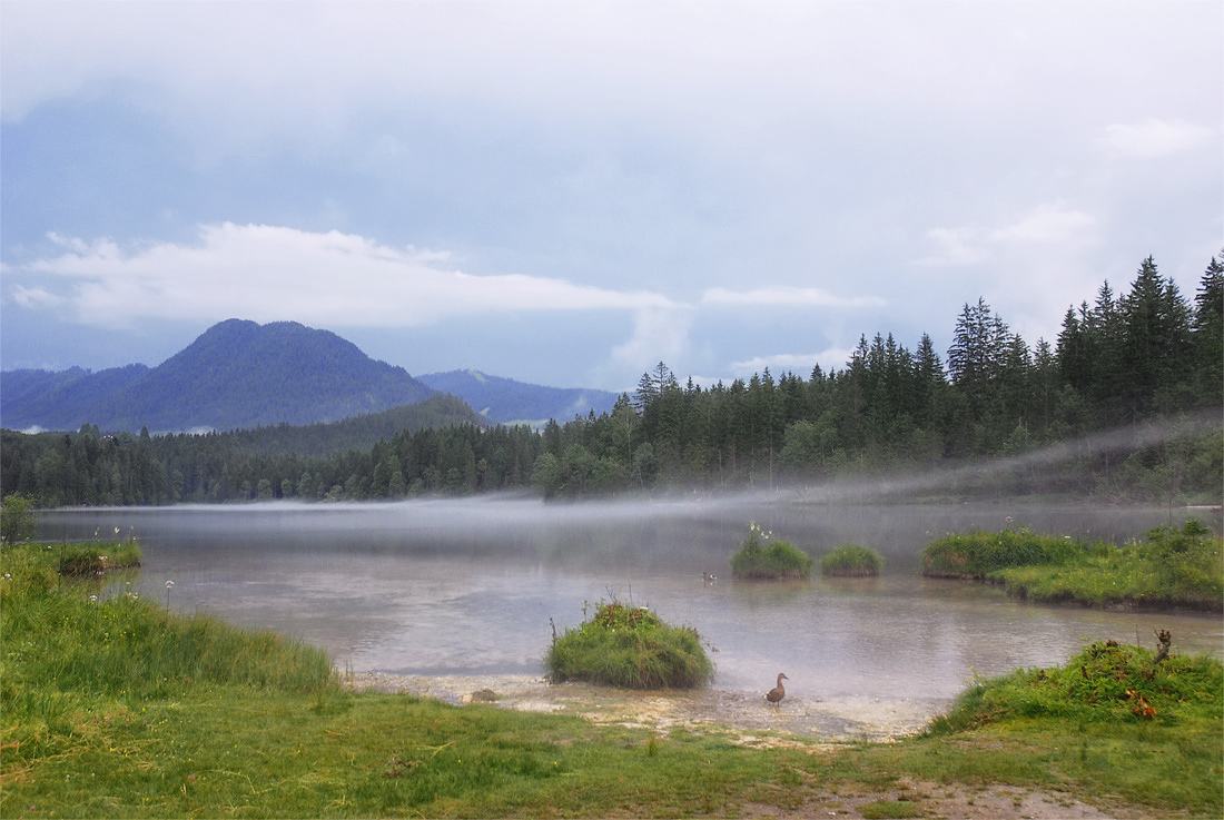 "Wo bist du mein lieber zaplutal?"