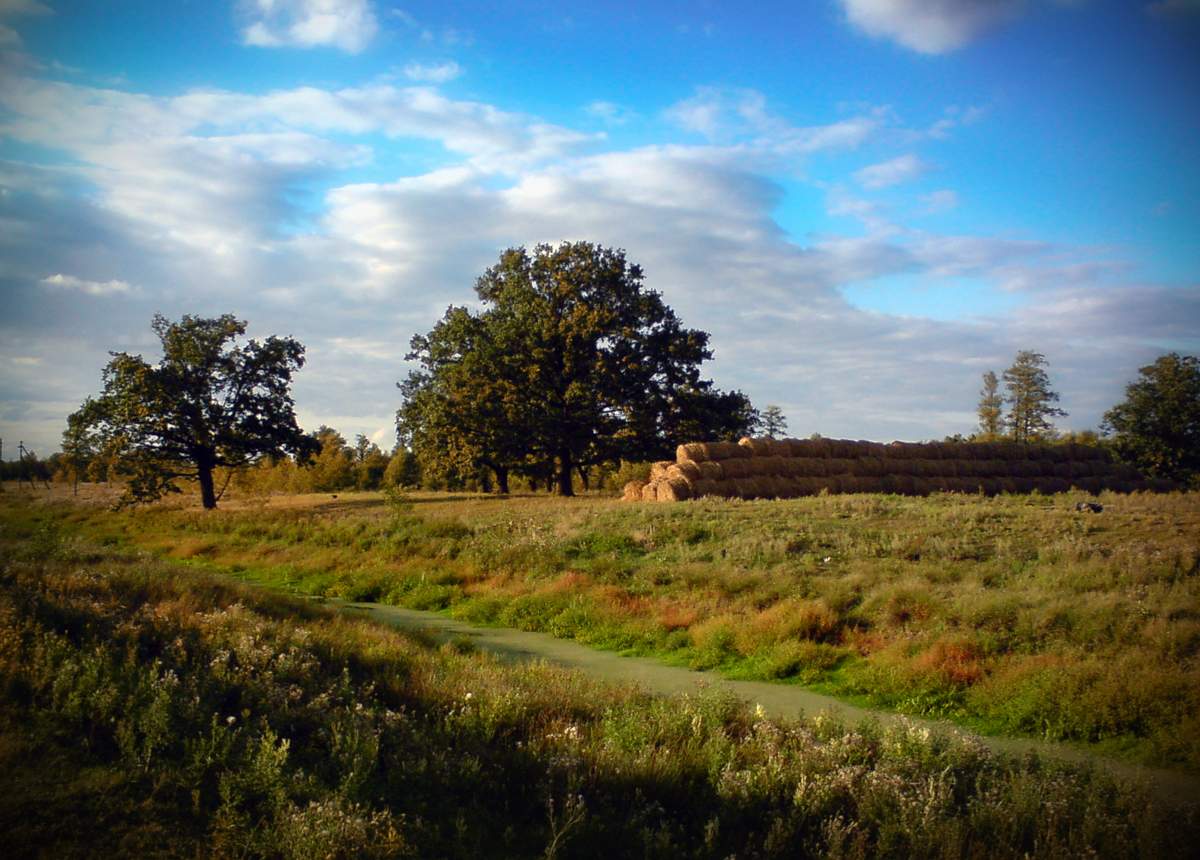 Rustikale Freiflächen