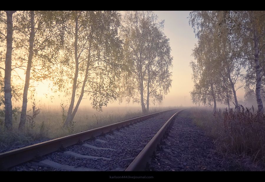 In den nebligen Morgengrauen.