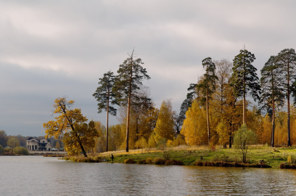 Über geheimnisvolle Fischer Maximytsch (2010)