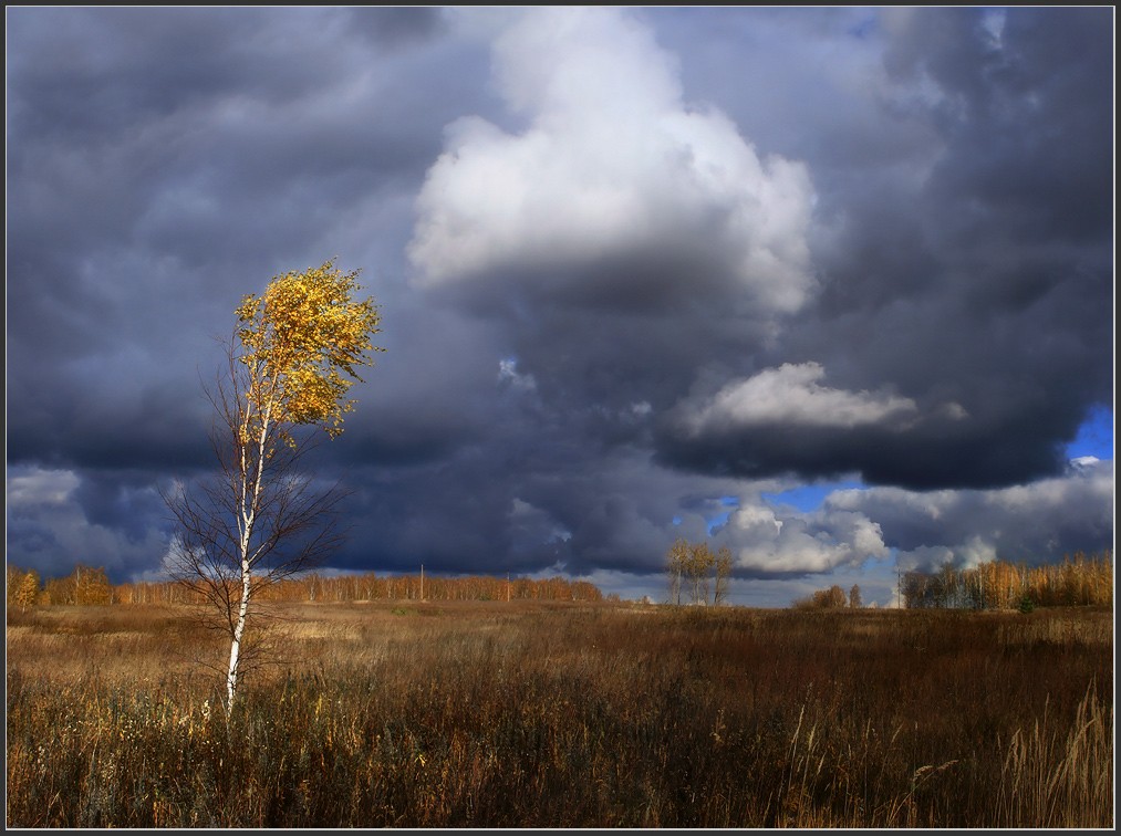 Im vergangenen Herbst Blatt gerupft
