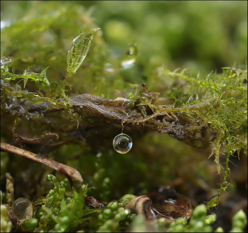 Negasnuyuschie Tag warten in der Nacht ...