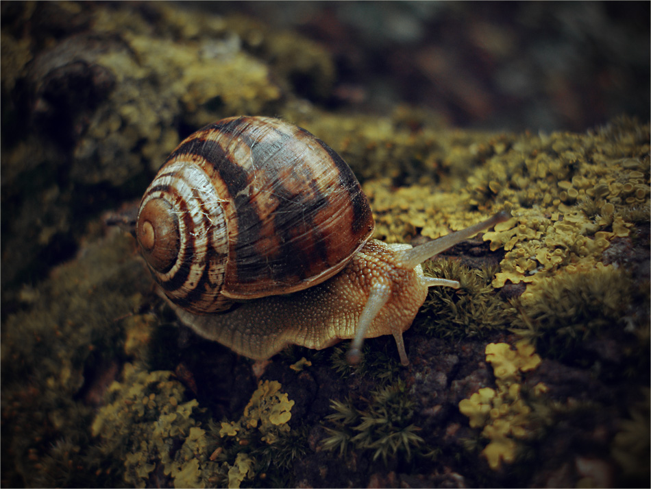 Erfassung der Erinnerungen ...
