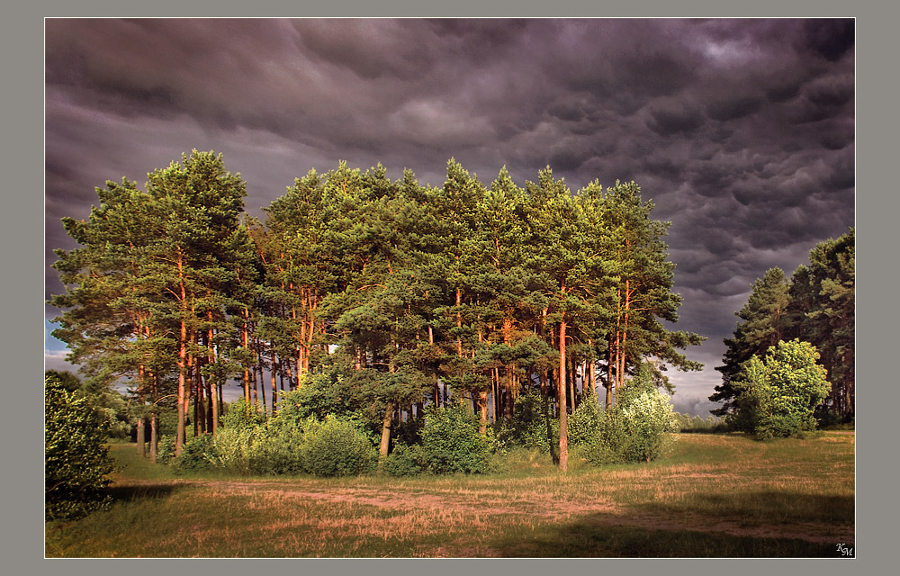 Es scheint, werde regen