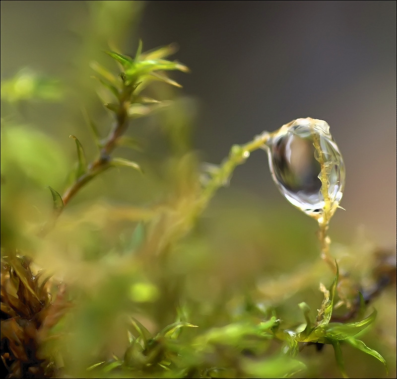 Kostenlos zu erfüllen ...