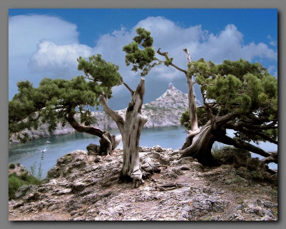 Royal Beach Blue Bay