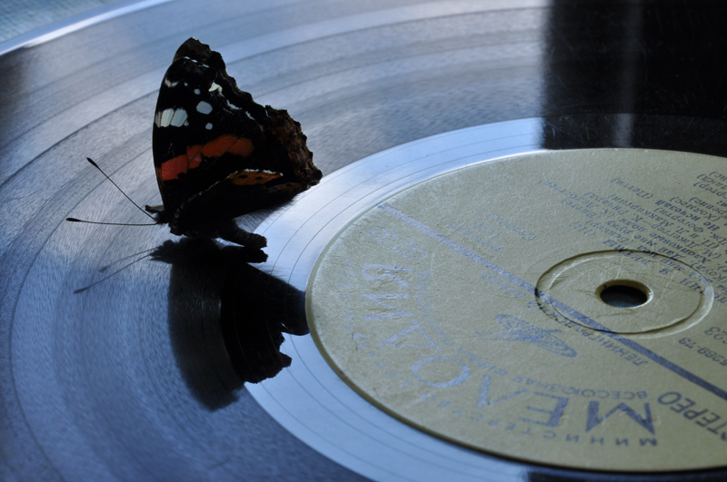 Auf der Welle meines Gedächtnisses