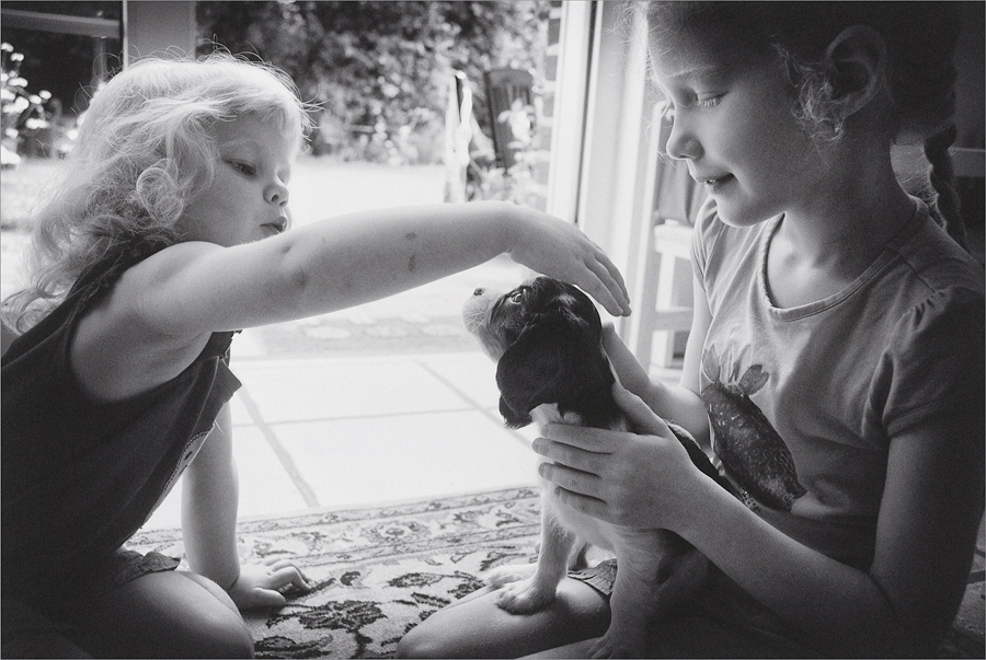 Ein Traum wird wahr.