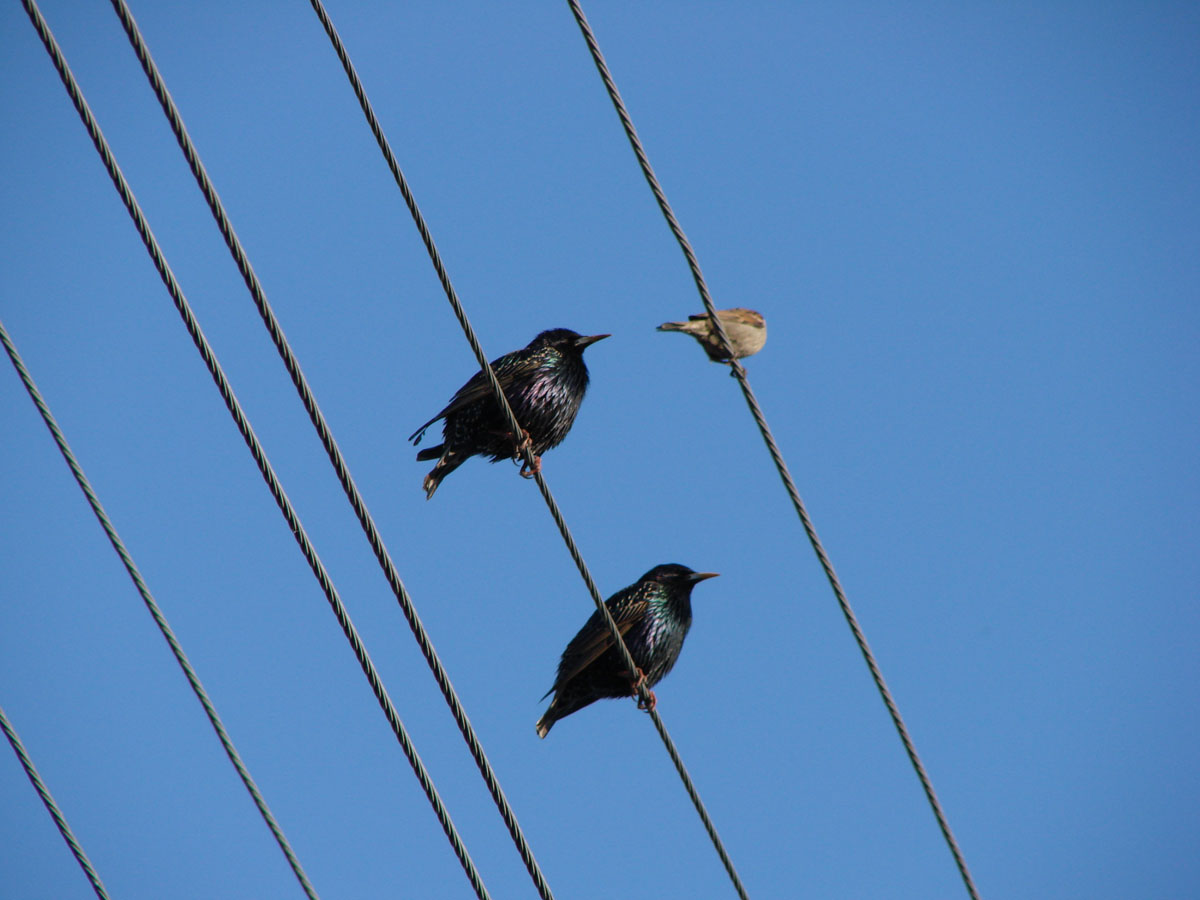 nicht zappeln, sondern hören, was anständige Leute werden Ihnen sagen,
