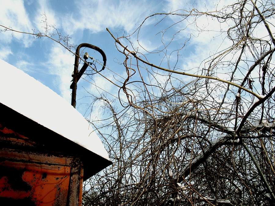 dort blauen See crimson