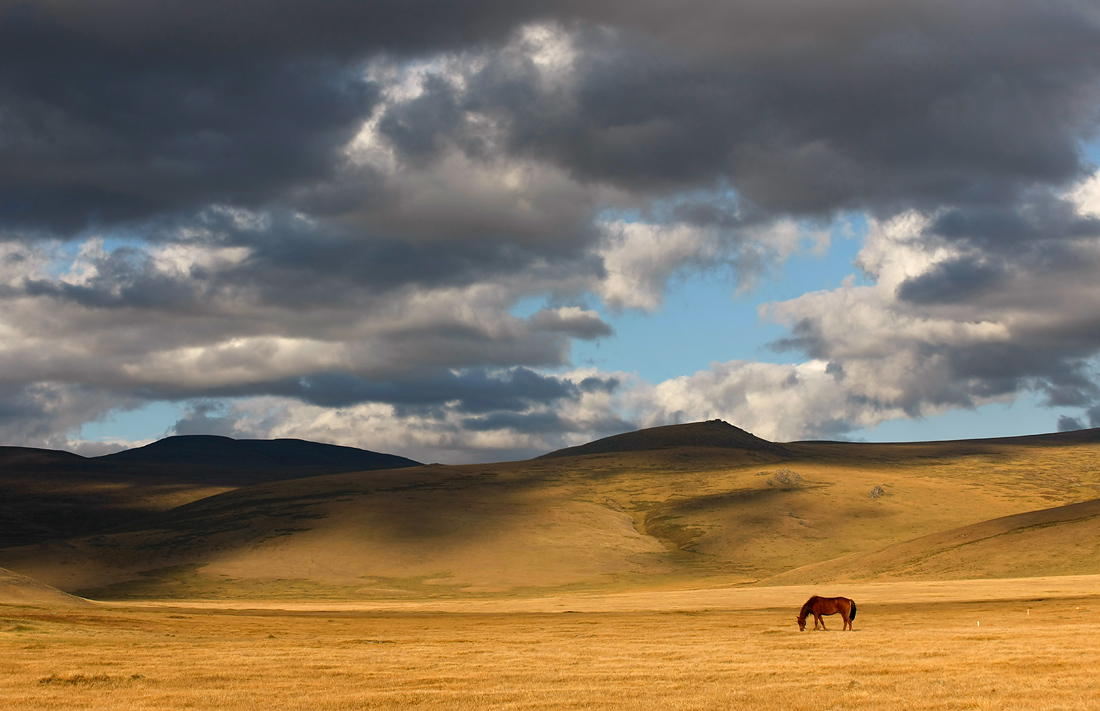 Gorny Altai Nummer 8